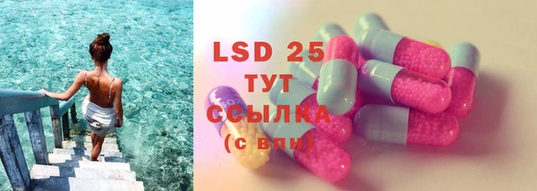 прущие грибы Богородск