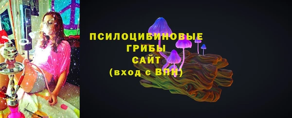 прущие крисы Богородицк