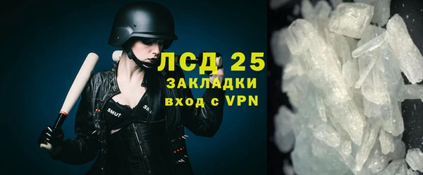 прущие грибы Покачи
