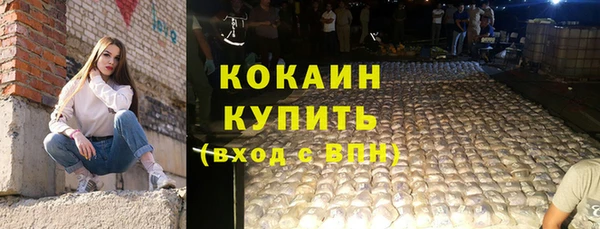 прущие грибы Богородск