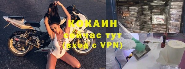прущие грибы Богородск