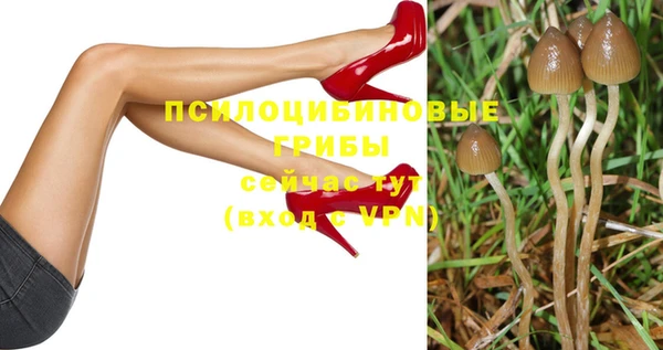 прущие грибы Богородск